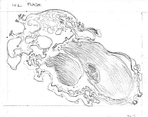 Phasm